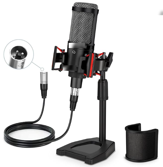 İleri yayın veya müzik kurulumları için geniş diyaframlı XLR mikrofon